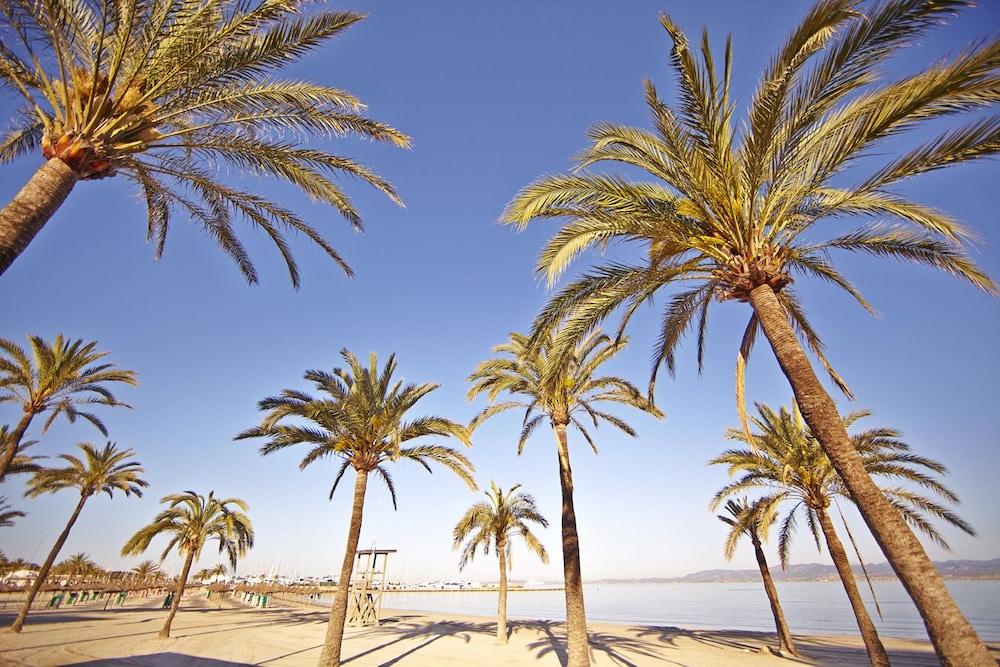 Sahara Nubia Gobi Hotel Ses Cadenes Екстериор снимка Palma de Mallorca